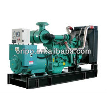 250kva 60hz electric diesel generator price in China manufacturer of generator electric